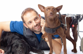 Recensione Libro: Dritto al cuore del tuo cane – Angelo Vaira