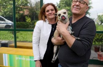 Un Chihuahua mette in ginocchio il metrò di Milano