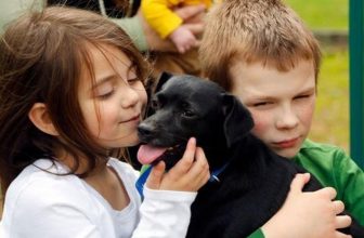 USA: il Cane si accorge dell’incendio e salva 10 persone