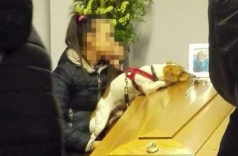 Teramo: il saluto del Jack Russell al Padrone morto sul Gran Sasso