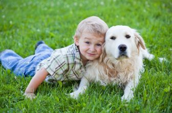 Cani e bambini. 7 cose a cui fare attenzione