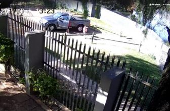 Cane abbandonato: ecco il video incastra i proprietari
