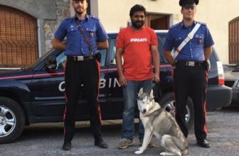 Husky rubato e ritrovato dai Carabinieri: Ladri denunciati