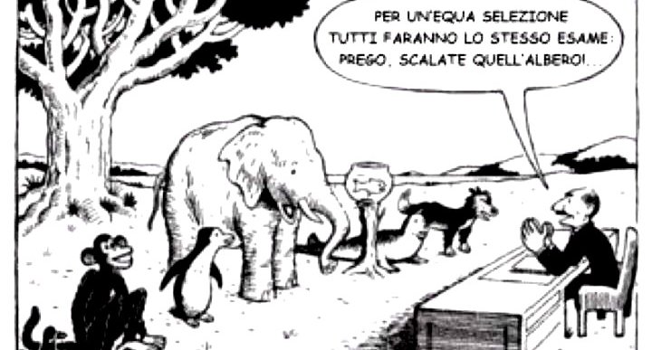 scuola-animali