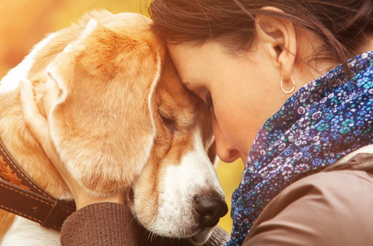È possibile amare un Cane quanto o più di una Persona? Lo Studio